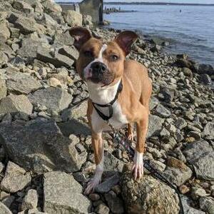 Fundraising Page: Missy Baker